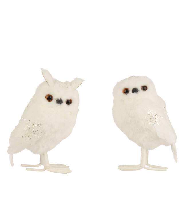Hibou sur pieds blanc brillant | Éclat magiquede l'hiver