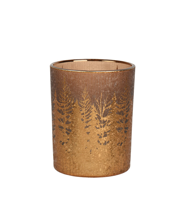 Porte lampion or forêt | Lumière enchantée de la forêt