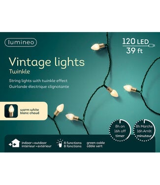 Lumières Vintage blanc chaud 120 LED
