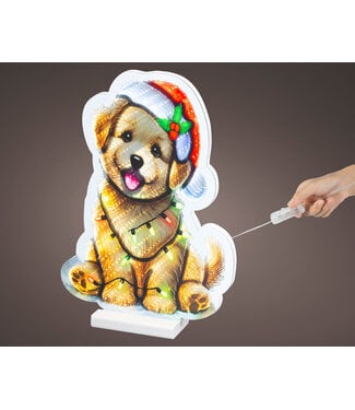 Lumière infini chien guirlande de lumières