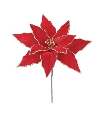 Tige de poinsettia rouge