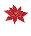 Tige de poinsettia rouge