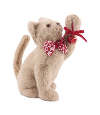 Chat avec boucle et grelot rouge