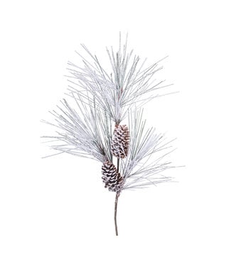 Branche de pin enneigée et cocottes