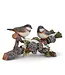 Oiseaux sur blanche