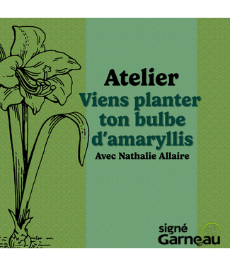 Signé Garneau Viens planter ton bulbe d'amaryllis! | 10h00