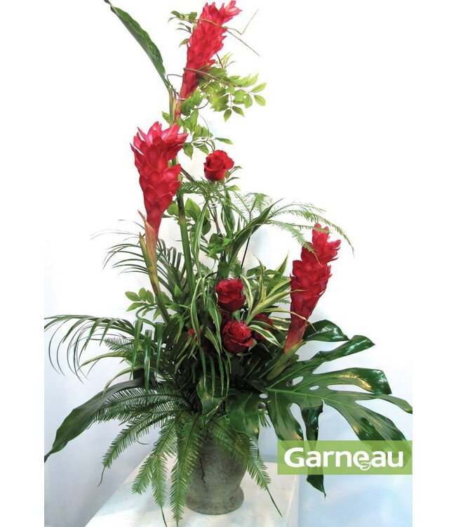 Souvenirs tropicaux AF-097