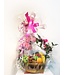 Panier de fruits & fleurs BB-002