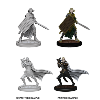 WizKids 72608 Pathfinder: Elf Male Paladin