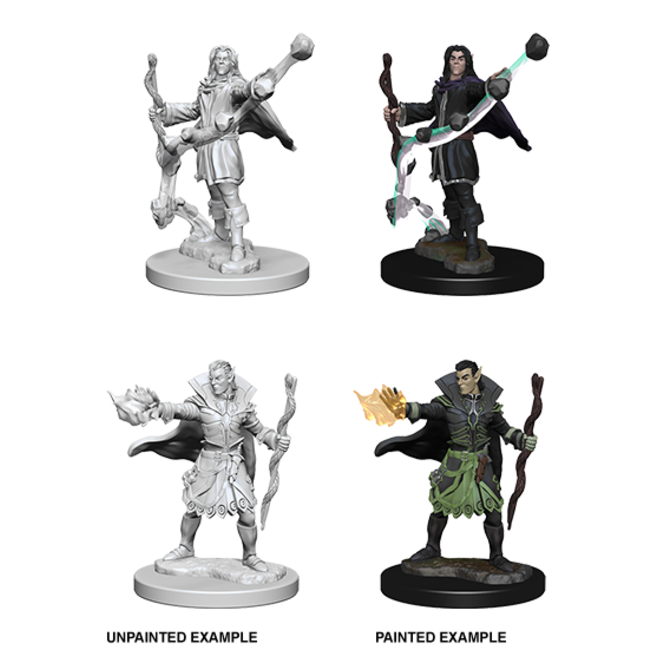 72605 PF DC - W01 Elf Male Sorcerer