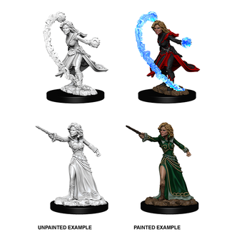 WizKids 73412 PF DC - W06 Female Human Wizard