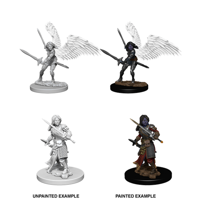 73343 D&D NM - W05 Aasimar Female Paladin
