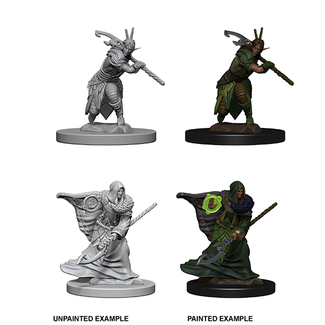 WizKids 72641 D&D NM - W04 Elf Druid Male