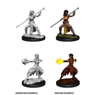 WizKids 73839 Nolzur's Marvelous: Half-Elf Monk Female W10