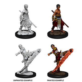 WizKids *73838 D&D NM - W10 Male Half-Elf Monk ~ Limited Release