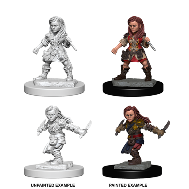 72627 Nolzur's Marvelous: Halfling Rogue Female