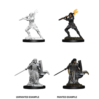 WizKids 73830 D&D NM - W10 Human Paladin Female
