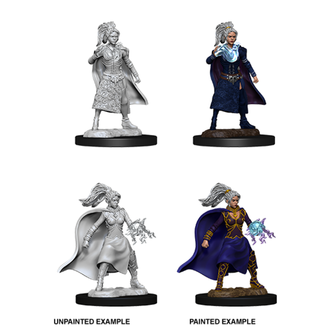 *73832 D&D NM - W10 Human Sorcerer Female
