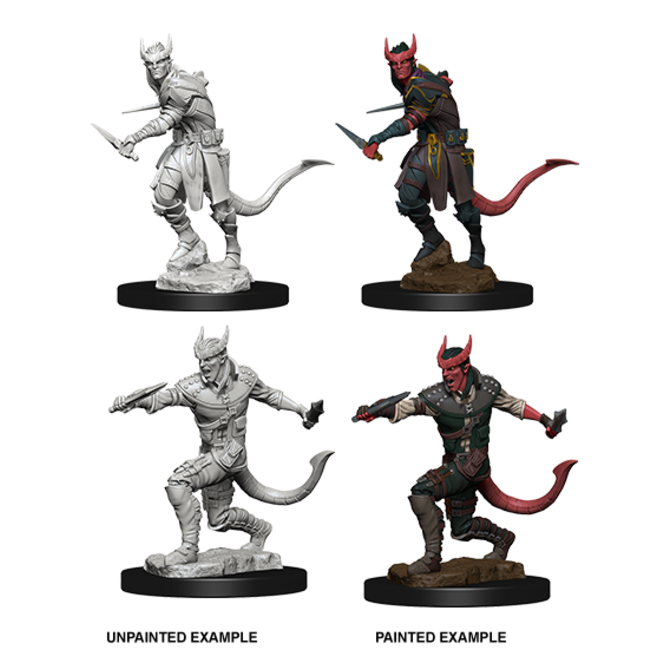 Featured image of post View 12 Male Tiefling Rogue