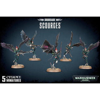 Warhammer 40,000 Drukhari: Scourges