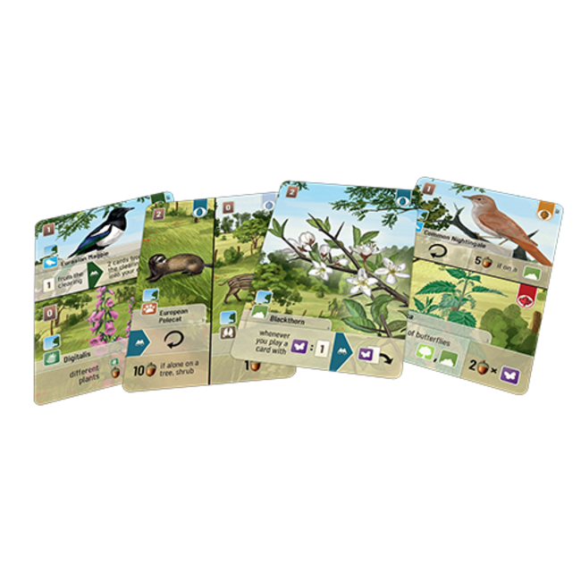 Forest Shuffle: Woodland Edge