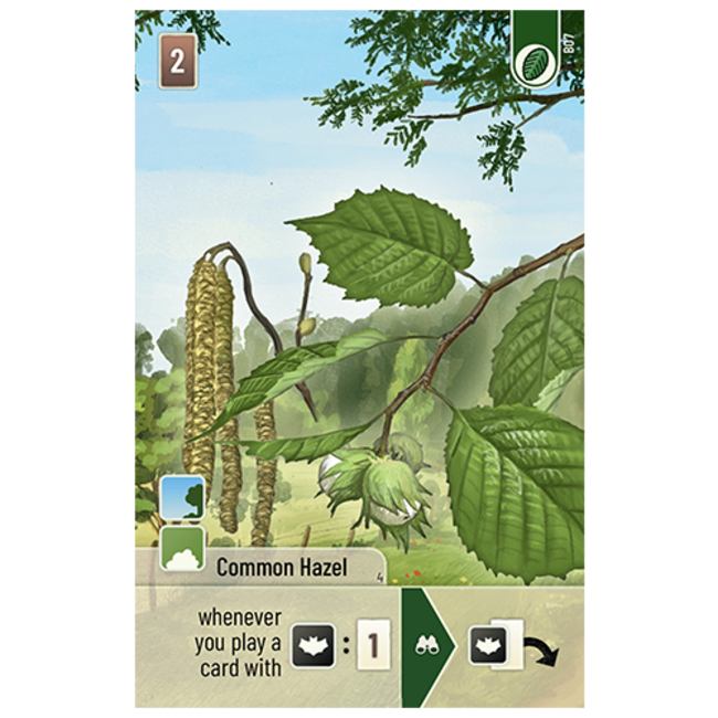 Forest Shuffle: Woodland Edge