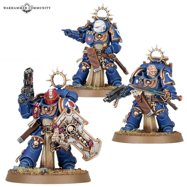 Space Marines: Bladeguard Veterans