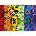 Ravensburger Floral Reflections 500 pc Puzzle