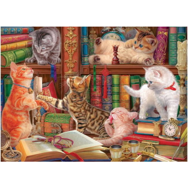 Library Kittens 1000 pc Puzzle