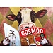 Eurographics Puzzles Cosmoo 500 pc Puzzle