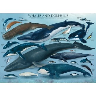 Eurographics Puzzles Whales & Dolphins 1000 pc Puzzle