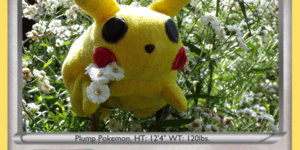 The New Black Bolt & White Flare Pokemon Set!