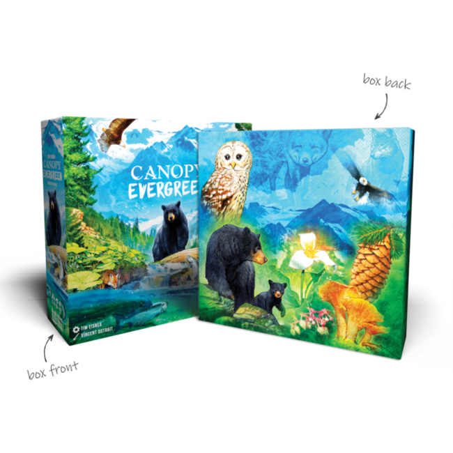 Canopy Evergreen Deluxe KS