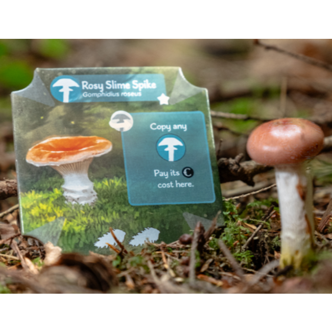 Undergrove ~ Special Order Only