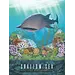 Shallow Sea: Rare Fish MiniExp