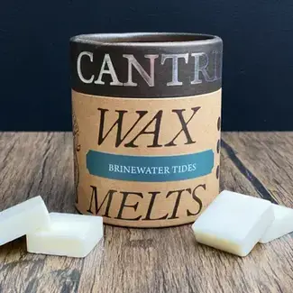 Cantrip Candles Brinewater Tides - 5 oz. Wax Melts - SUMMER SALE