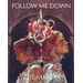 Indie Press Revolution Follow Me Down