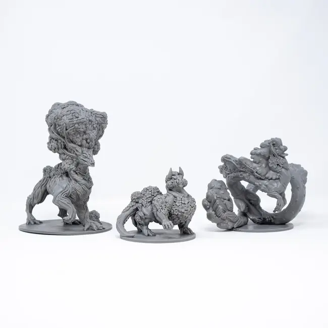 The Field Guide to Floral Dragons: Dragon Gardeners Minis
