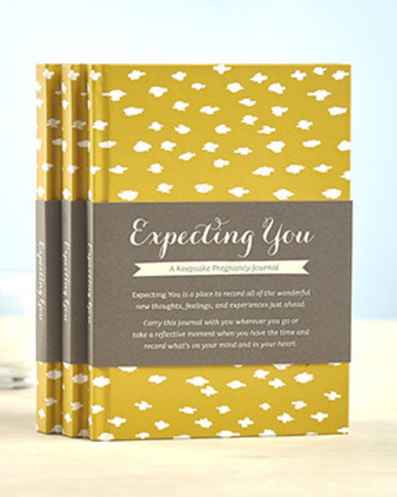 expecting you pregnancy journal