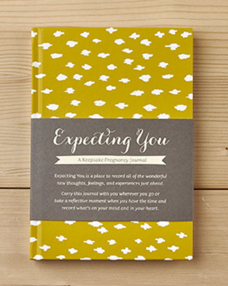 expecting you pregnancy journal