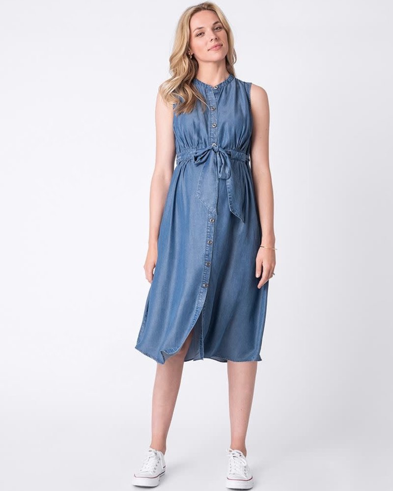 seraphine denim dress