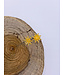 Must Have Spoke Earrings