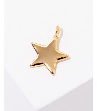 Larissa Loden BYO Star Charm **FINAL SALE**