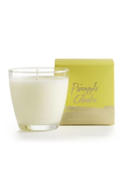Illume Candles Demi Boxed Glass Candle in Pineapple Cilantro **FINAL SALE**