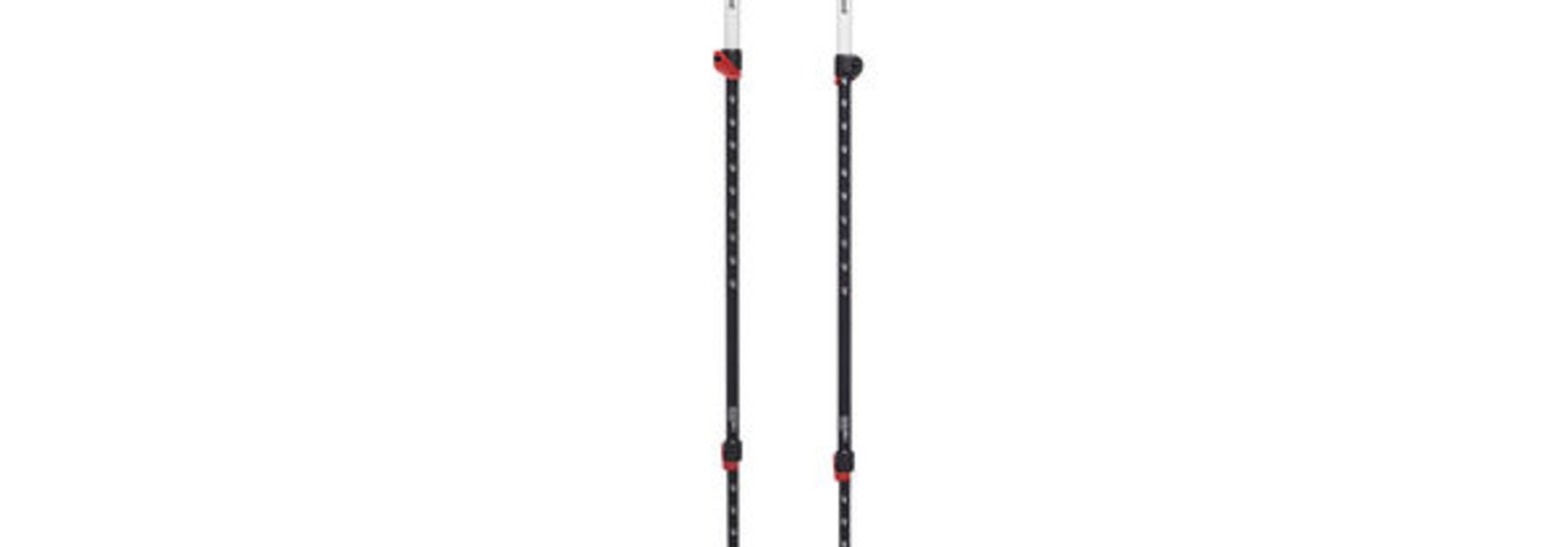 EXPEDITION 3 SKI POLES