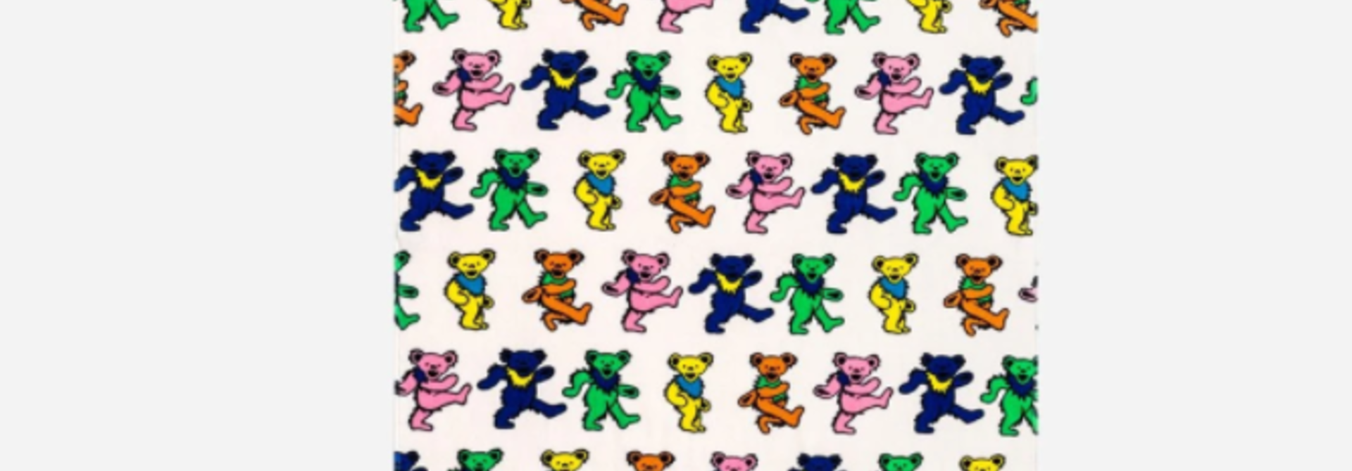 BEAR BONES