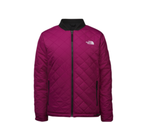 the north face jester jacket