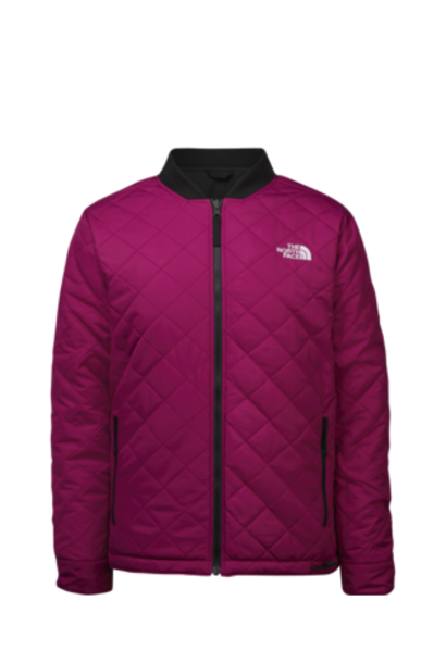 the north face jester jacket