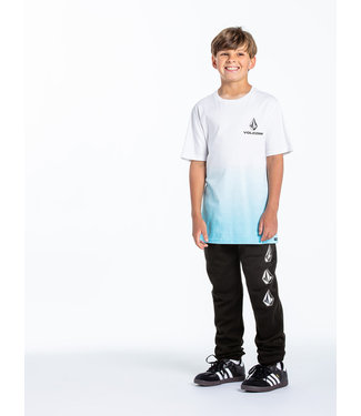 Volcom BIG BOYS ICONIC STONE FLC PANT