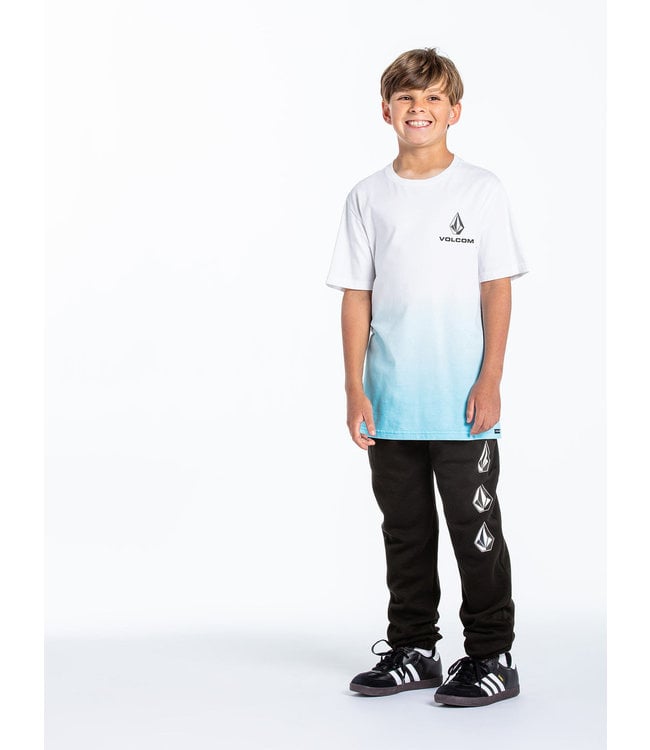 Volcom BIG BOYS ICONIC STONE FLC PANT